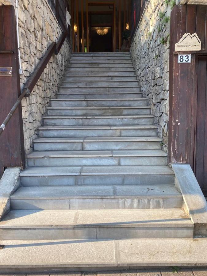 Belvedere Da Cesarina Tarvisio Zewnętrze zdjęcie